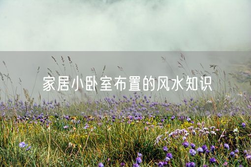 家居小卧室布置的风水知识(图1)