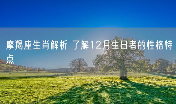 摩羯座生肖解析 了解12月生日者的性格特点(图1)