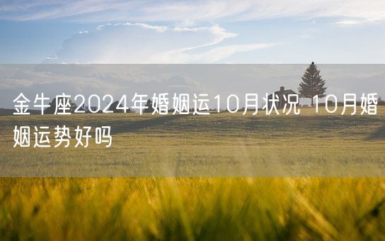 金牛座2024年婚姻运10月状况 10月婚姻运势好吗(图1)