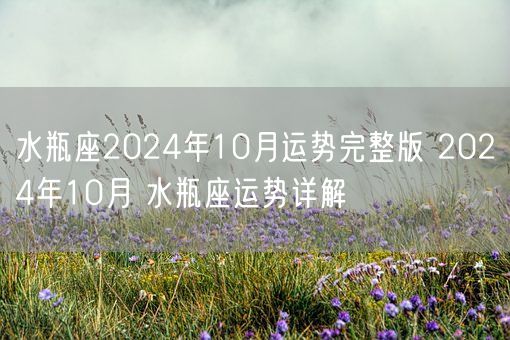 水瓶座2024年10月运势完整版 2024年10月 水瓶座运势详解(图1)