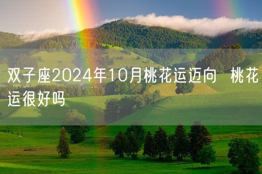 双子座2024年10月桃花运迈向  桃花运很好吗(图1)