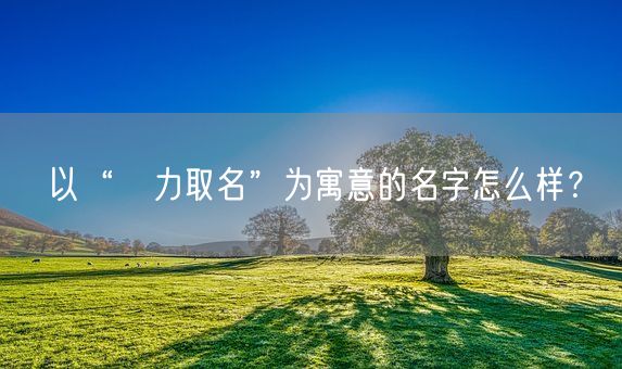 以“劼力取名”为寓意的名字怎么样？(图1)