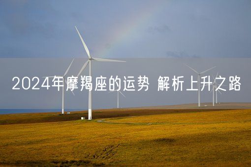 2024年摩羯座的运势 解析上升之路(图1)