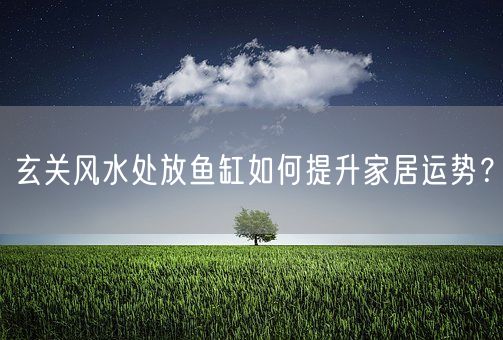 玄关风水处放鱼缸如何提升家居运势？(图1)