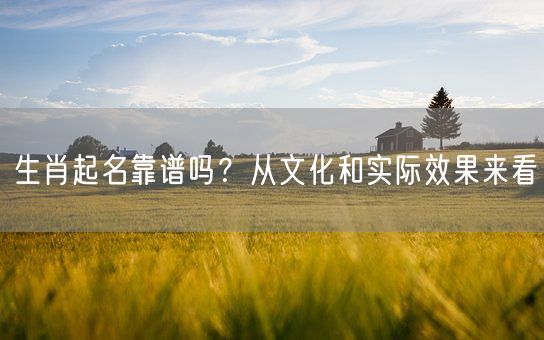 生肖起名靠谱吗？从文化和实际效果来看(图1)