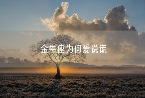 金牛座为何爱说谎(图1)