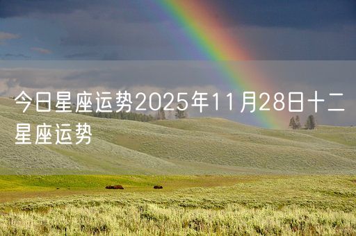 今日星座运势2025年11月28日十二星座运势(图1)