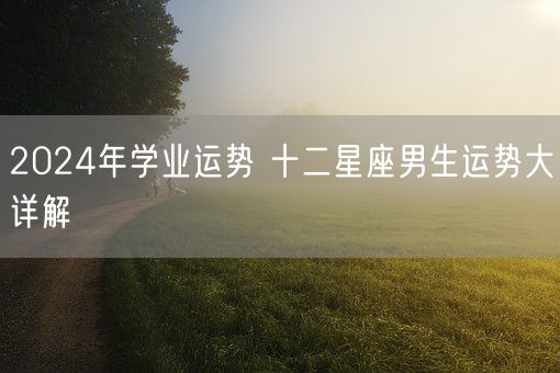 2024年学业运势 十二星座男生运势大详解(图1)