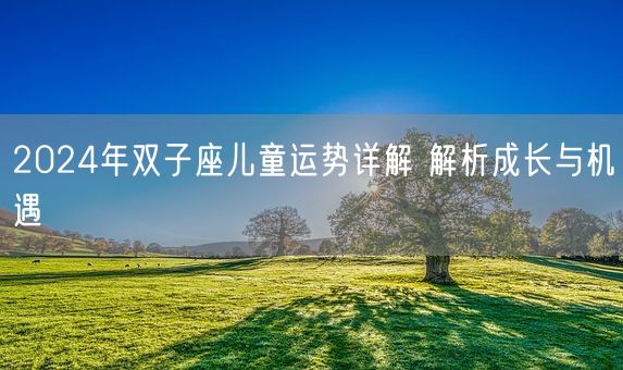 2024年双子座儿童运势详解 解析成长与机遇(图1)