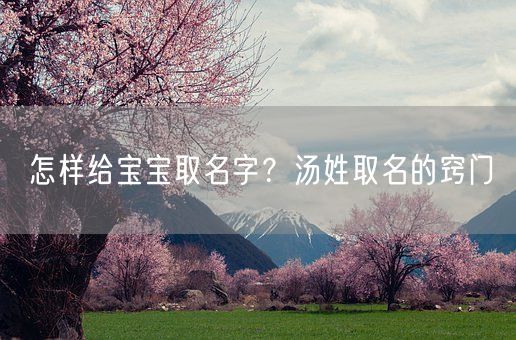 怎样给宝宝取名字？汤姓取名的窍门(图1)