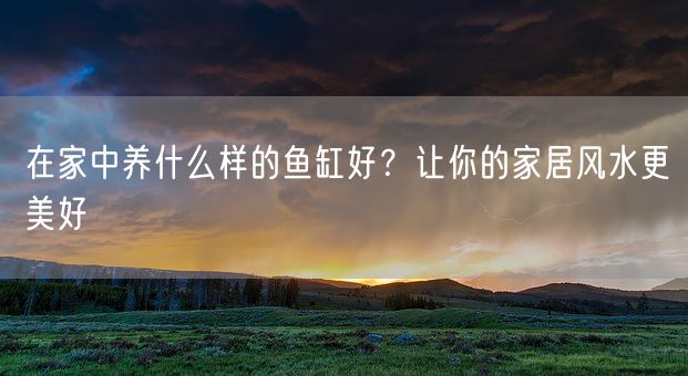 在家中养什么样的鱼缸好？让你的家居风水更美好(图1)