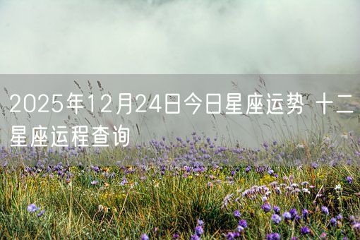 2025年12月24日今日星座运势 十二星座运程查询(图1)