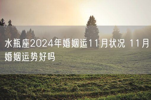 水瓶座2024年婚姻运11月状况 11月婚姻运势好吗(图1)