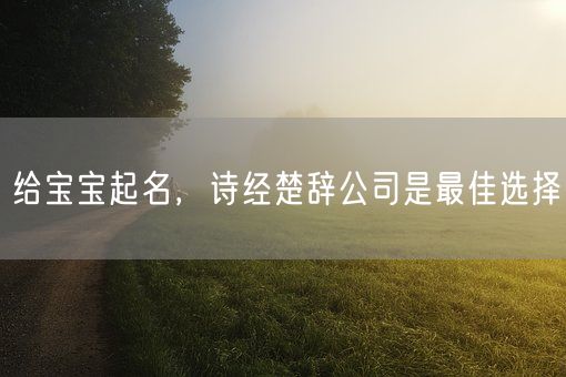 给宝宝起名，诗经楚辞公司是最佳选择(图1)