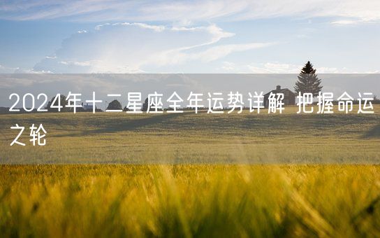 2024年十二星座全年运势详解 把握命运之轮(图1)
