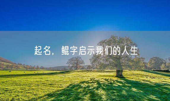 起名，鲲字启示我们的人生(图1)