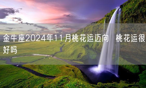 金牛座2024年11月桃花运迈向  桃花运很好吗(图1)