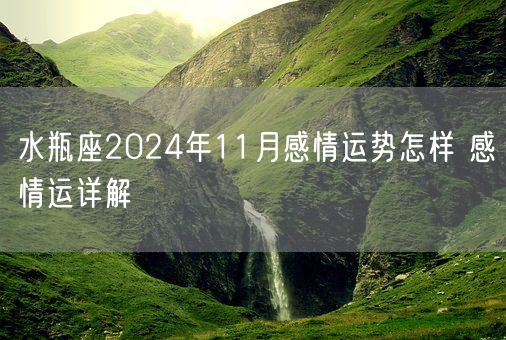 水瓶座2024年11月感情运势怎样 感情运详解(图1)