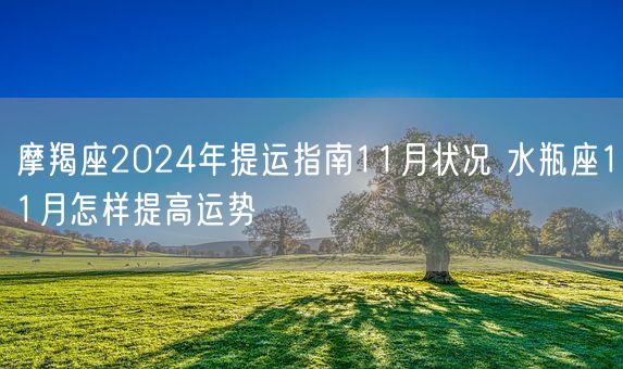 摩羯座2024年提运指南11月状况 水瓶座11月怎样提高运势(图1)