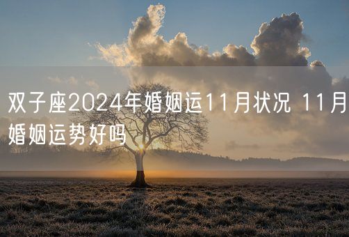 双子座2024年婚姻运11月状况 11月婚姻运势好吗(图1)