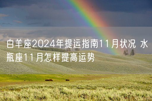 白羊座2024年提运指南11月状况 水瓶座11月怎样提高运势(图1)