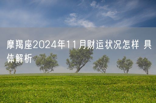 摩羯座2024年11月财运状况怎样 具体解析(图1)