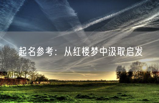 起名参考：从红楼梦中汲取启发(图1)