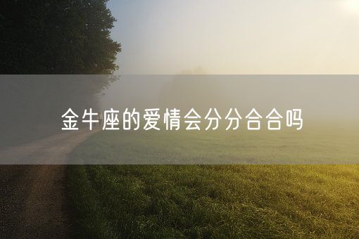 金牛座的爱情会分分合合吗(图1)