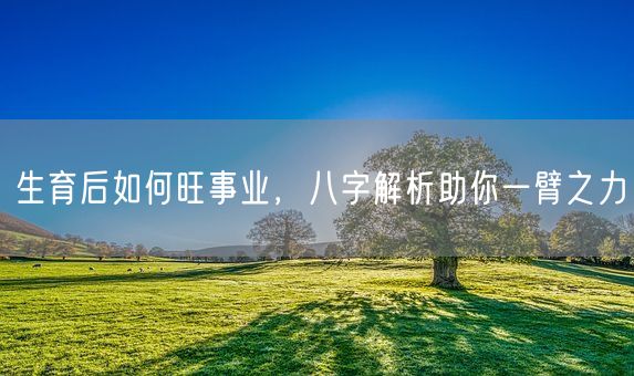 生育后如何旺事业，八字解析助你一臂之力(图1)