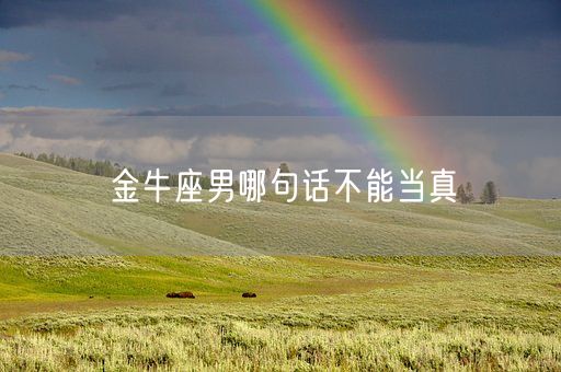 金牛座男哪句话不能当真(图1)