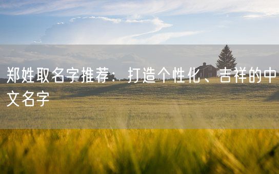 郑姓取名字推荐：打造个性化、吉祥的中文名字(图1)