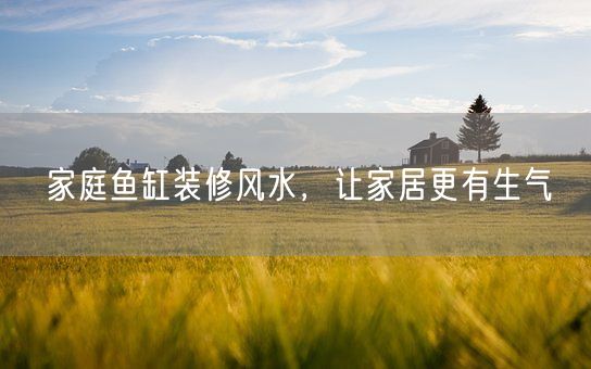 家庭鱼缸装修风水，让家居更有生气(图1)