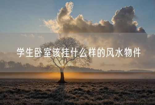 学生卧室该挂什么样的风水物件(图1)