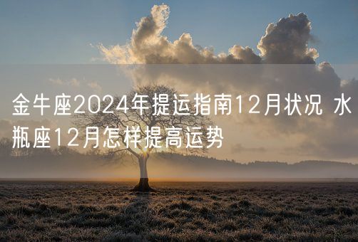 金牛座2024年提运指南12月状况 水瓶座12月怎样提高运势(图1)