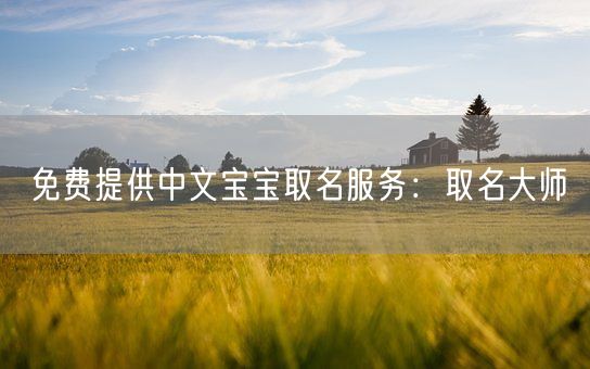 免费提供中文宝宝取名服务：取名大师(图1)