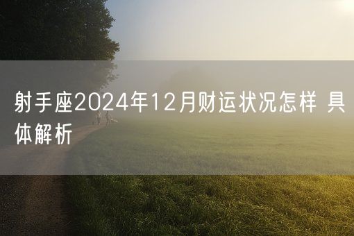 射手座2024年12月财运状况怎样 具体解析(图1)