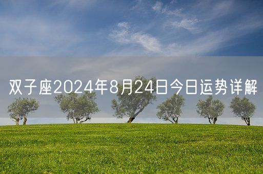 双子座2024年8月24日今日运势详解(图1)