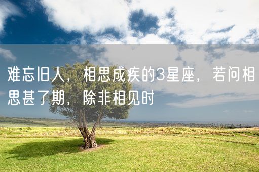 难忘旧人，相思成疾的3星座，若问相思甚了期，除非相见时(图1)