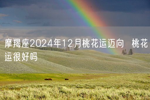 摩羯座2024年12月桃花运迈向  桃花运很好吗(图1)