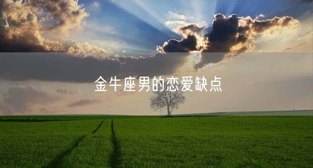 金牛座男的恋爱缺点(图1)