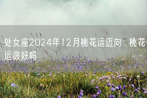 处女座2024年12月桃花运迈向  桃花运很好吗(图1)