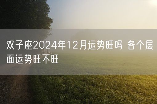 双子座2024年12月运势旺吗 各个层面运势旺不旺(图1)