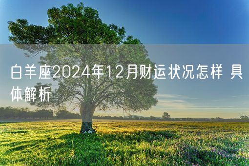 白羊座2024年12月财运状况怎样 具体解析(图1)