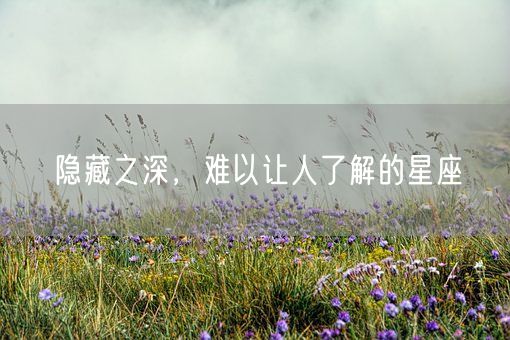 隐藏之深，难以让人了解的星座(图1)