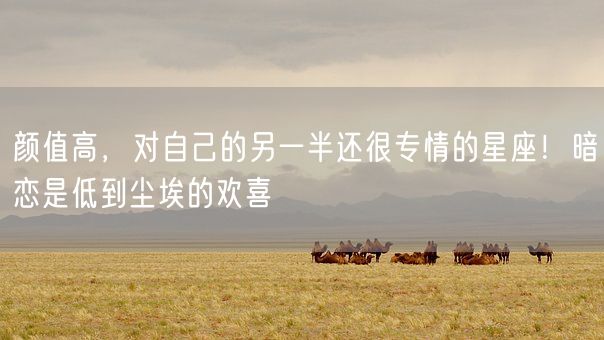 颜值高，对自己的另一半还很专情的星座！暗恋是低到尘埃的欢喜(图1)
