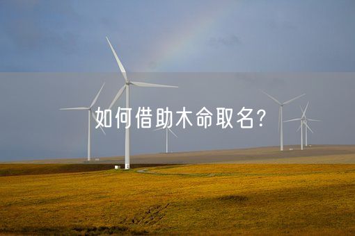 如何借助木命取名？(图1)