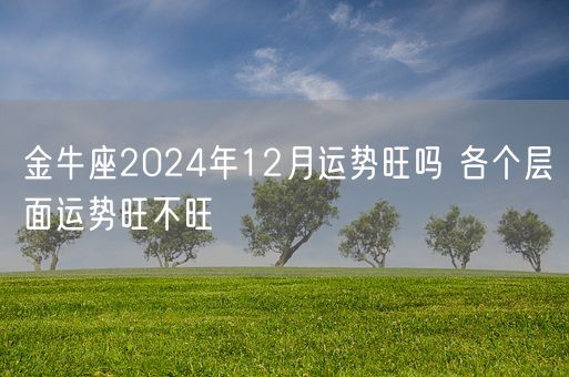 金牛座2024年12月运势旺吗 各个层面运势旺不旺(图1)
