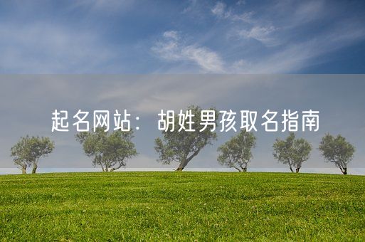 起名网站：胡姓男孩取名指南(图1)