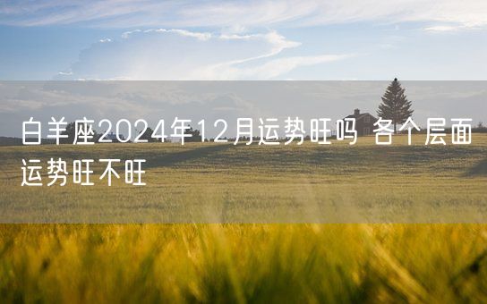 白羊座2024年12月运势旺吗 各个层面运势旺不旺(图1)