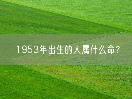 1953年出生的人属什么命？(图1)
